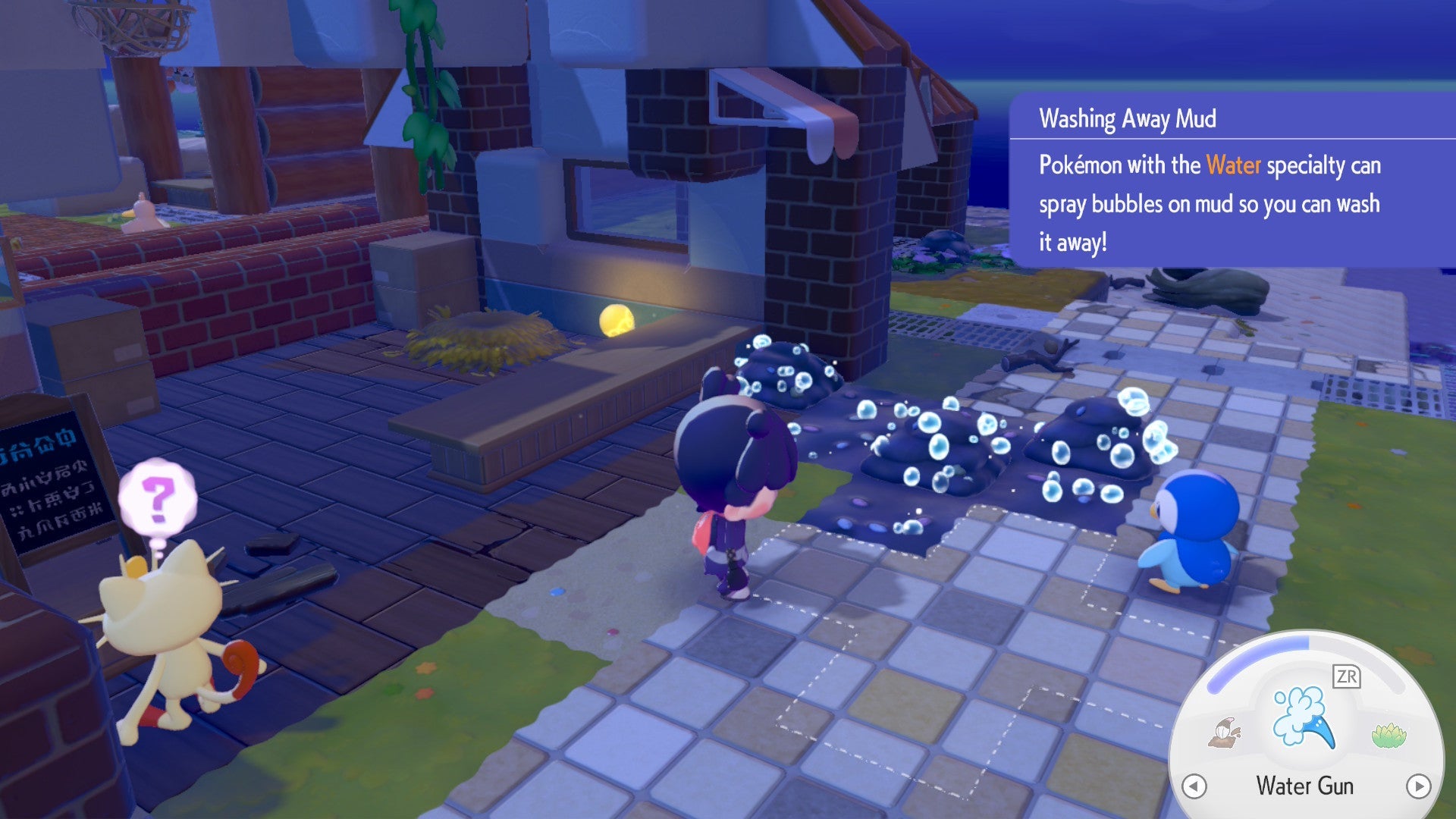 Piplup Mud Cleaning