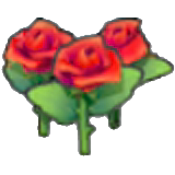 Beautiful flower
