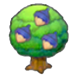 Chesto tree