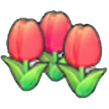 Cute flower