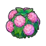 Damp hedge (pink)