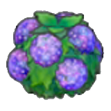 Damp hedge