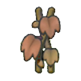 Dry vine