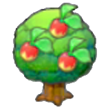 Leppa tree