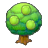 Lum tree