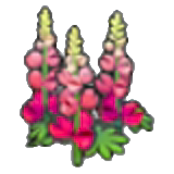 Robust flower