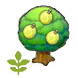 Small Aspear tree