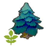 Small pointy tree