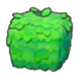 Square plant