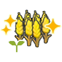Wheat sprout (Grow)
