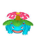 妙蛙花